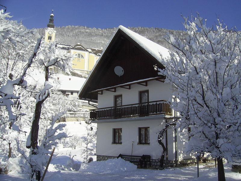 Private Apartments Bohinj Ribčev Laz Buitenkant foto